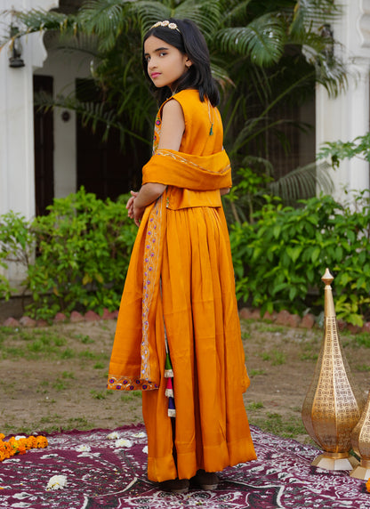 Mustard Embroidered Lehenga Choli with Scalloped Dupatta