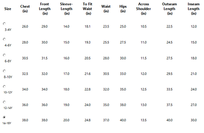 Misbis Girl's Embroidery Kurta Plazzo And Dupatta Set